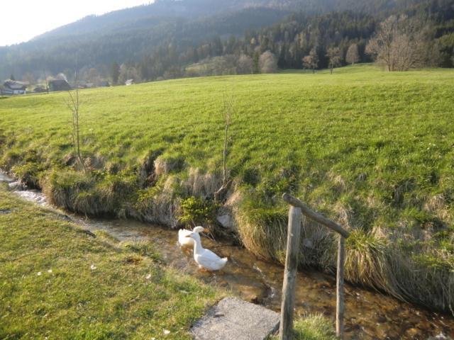 Bunzbauernhof Villa Bad Mitterndorf Kültér fotó